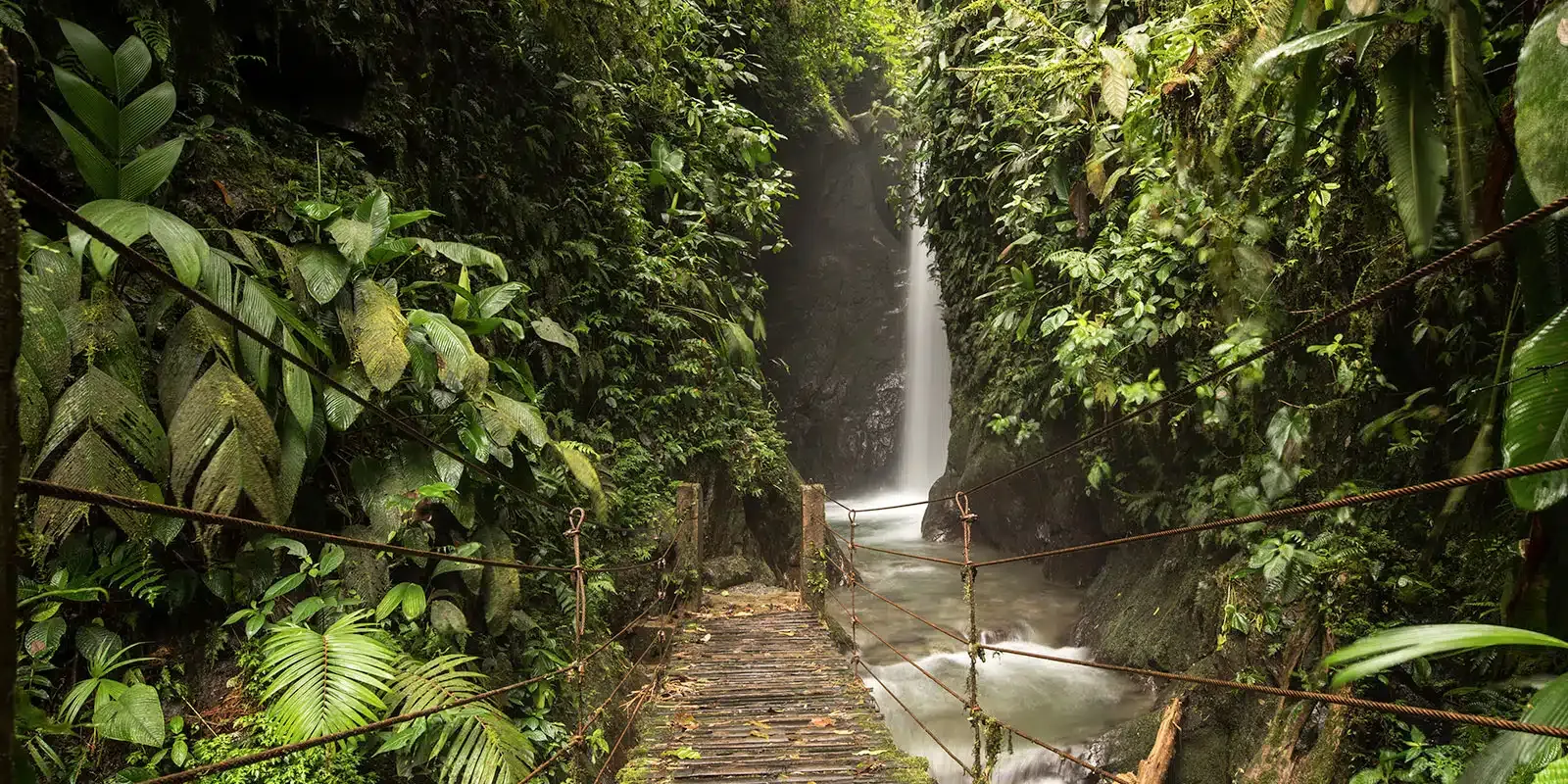 Ecuador: Andean Heritage to Cloud Forest
